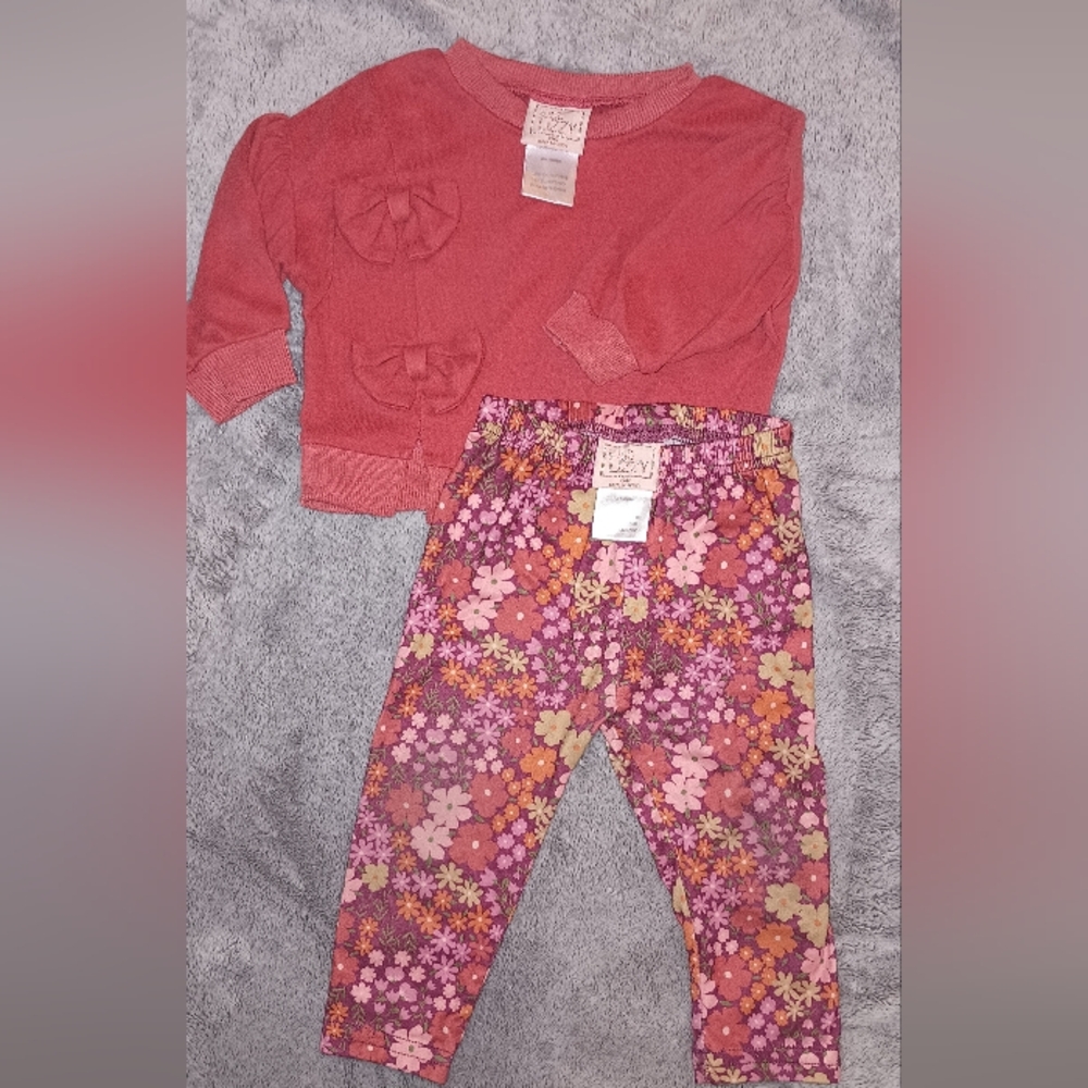Baby girl 2 piece outfit-12 months-multicolored